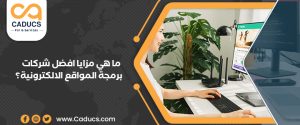 ما مزايا افضل شركات برمجة المواقع الالكترونية وكيف تختارها؟