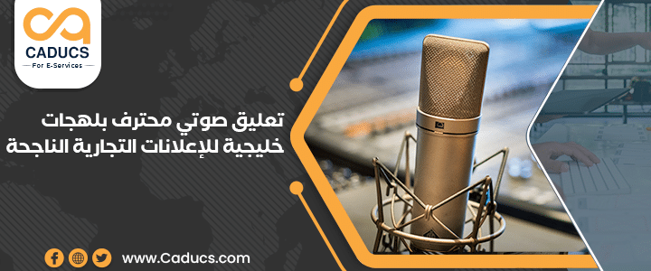 تعليق صوتي