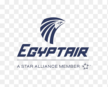 الصفحة الرئيسية